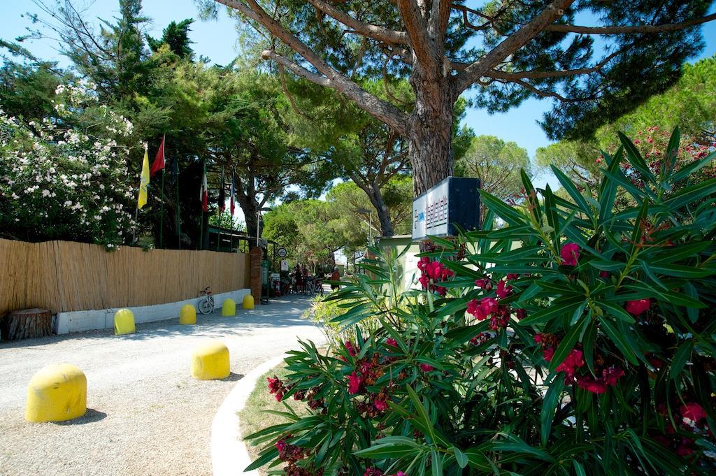 Camping Piper Puntone di Scarlino Zewnętrze zdjęcie